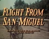 Flight from San Miguel