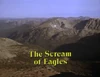 The Scream of Eagles
