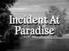 Incident at Paradise