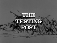 The Testing Post