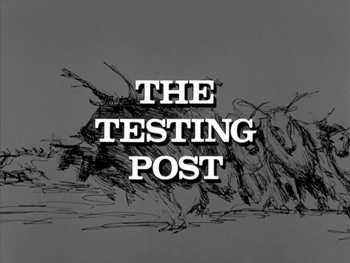 The Testing Post