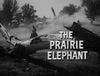 The Prairie Elephant