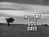 Incident of the Dog Days