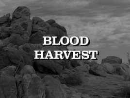 Blood Harvest