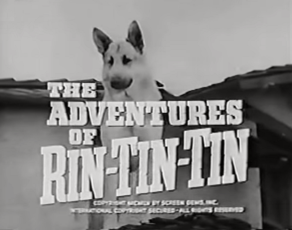 The Adventures of Rin Tin Tin | Western Series Wiki | Fandom