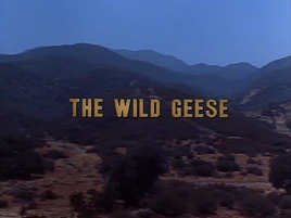 The Wild Geese