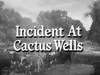 Incident at Cactus Wells