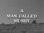 A Man Called Mushy