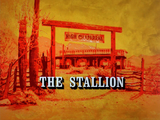 The Stallion (The High Chaparral episode)