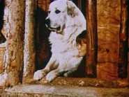 The Monroes - To Break a Colt - Image 1.png (686 KB)