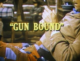 Gun Bound