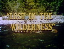 Lost in the Wilderness
