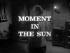 Moment in the Sun