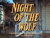 The Big Valley - Night of the Wolf