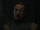 Bronn