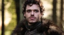 Robb Stark - Lord Winterfell, Król Północy i Dorzecza