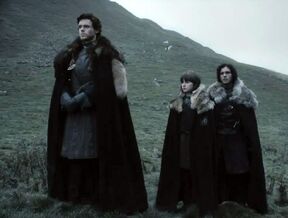 Bran-and-Robb-Stark-with-Jon-Snow-bran-stark-24487502-948-719