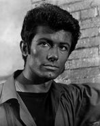 George Chakiris as Bernardo