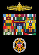 Admiral Percy Fitzwallace's Military Insignia and Badges