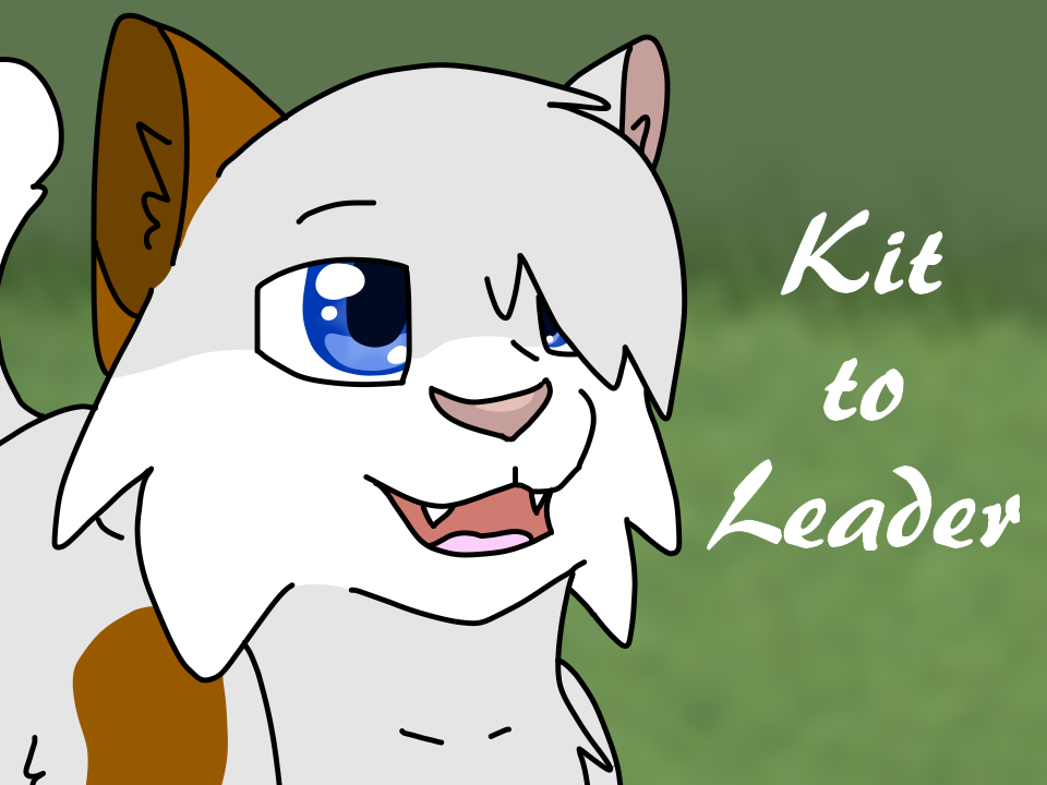 Kits playing  Warrior Cats