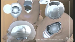 Chestnut module.jpg (154 KB) 3D schematic of a "chestnut" data module housed within the cortical shell of the host