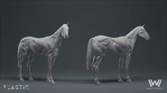 Behind the scenes: Host horse CGI concept art by Elastic (for Season One opening titles)