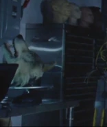 A wolf head at the lab during Arnold's time, implying the wolf might be a host