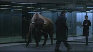 Bison and technicians at the Westworld Mesa Hub