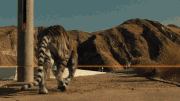 WW S2 E3 Tiger2.gif