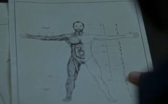Bernard's "Host" blueprints.