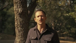 One Pugnacious S.O.B.