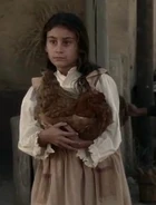 A chicken in Las Mudas