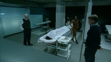 Hale, Ford, and Stubbs examines the body of Theresa