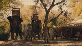 The raj elephant howdah 01