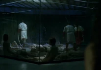 Livestock Management