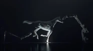 The horse host in the opening titles of the first season