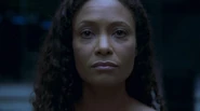 Westworld-maeve-2-650x361.jpg (17 KB)