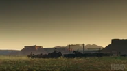 Cattle being herded in Westworld