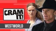 Everything You Need To Know About Westworld (Seasons 1-2) CRAM IT