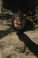 Lawrence being tied upside down on top of an anthill