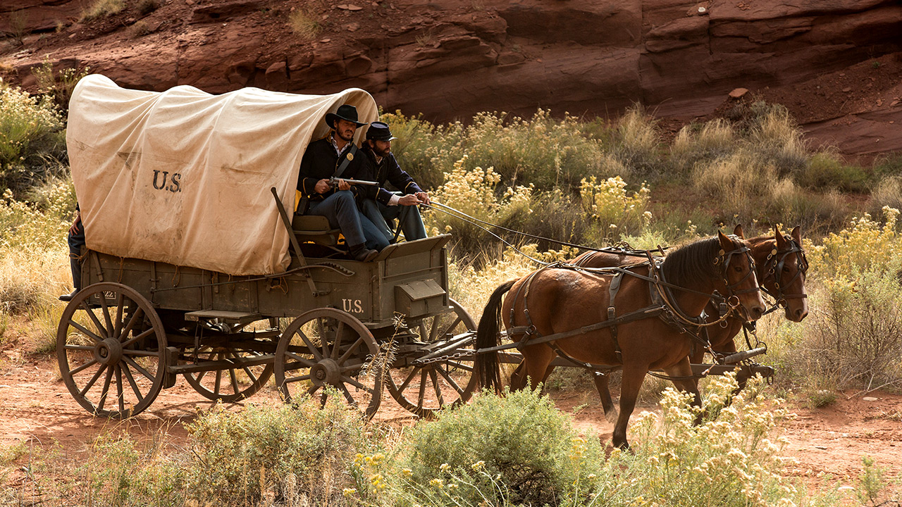 conestoga wagon with horses