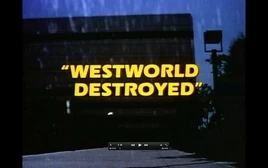 Westworld Destroyed