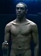 The Host in programming