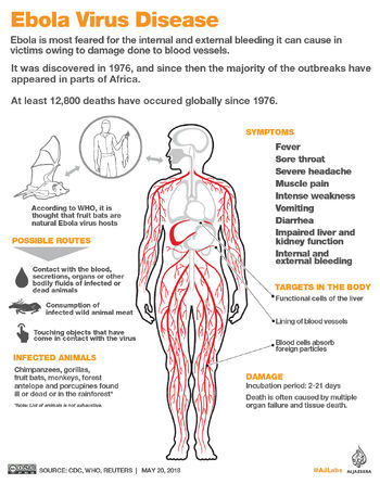 Ebola pic 