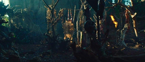Predator Camp