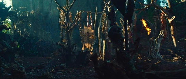 Predator Camp