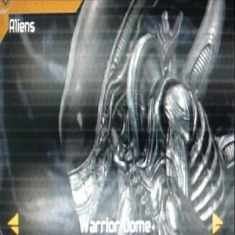 Warriordome