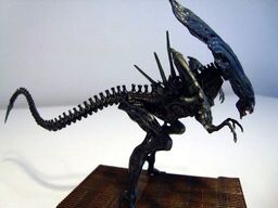 Alien Queen (Konami) | Weyland-Yutani corporation Wiki | Fandom
