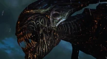 Alien Queen