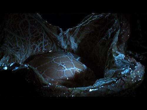 [CRITIC] CRITIC X ALIEN EGG ALIEN RACING JERSEY /追跡付 Alien Facehugger And Egg Get Life-Size in April - Horror
